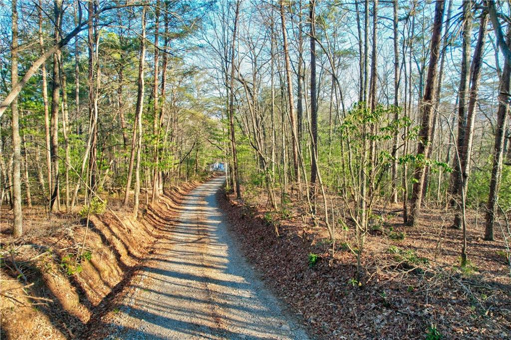 48 Mt Mcgurder - 48.26 Acres Road, Ellijay, Georgia image 13