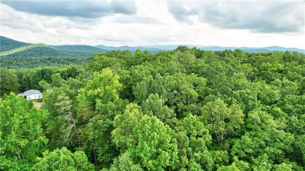 48 Mt Mcgurder - 48.26 Acres Road, Ellijay, Georgia image 9