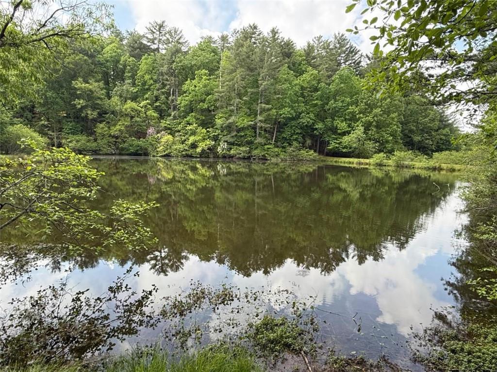 168 Spring Lake Drive
