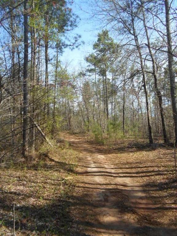 Nebo Road, Dallas, Georgia image 6