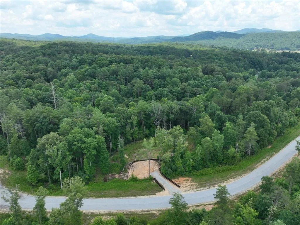 02 Blue Mountain Road