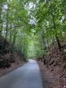 2335 Portrush Way (lot 26) Drive, Atlanta, Georgia image 40