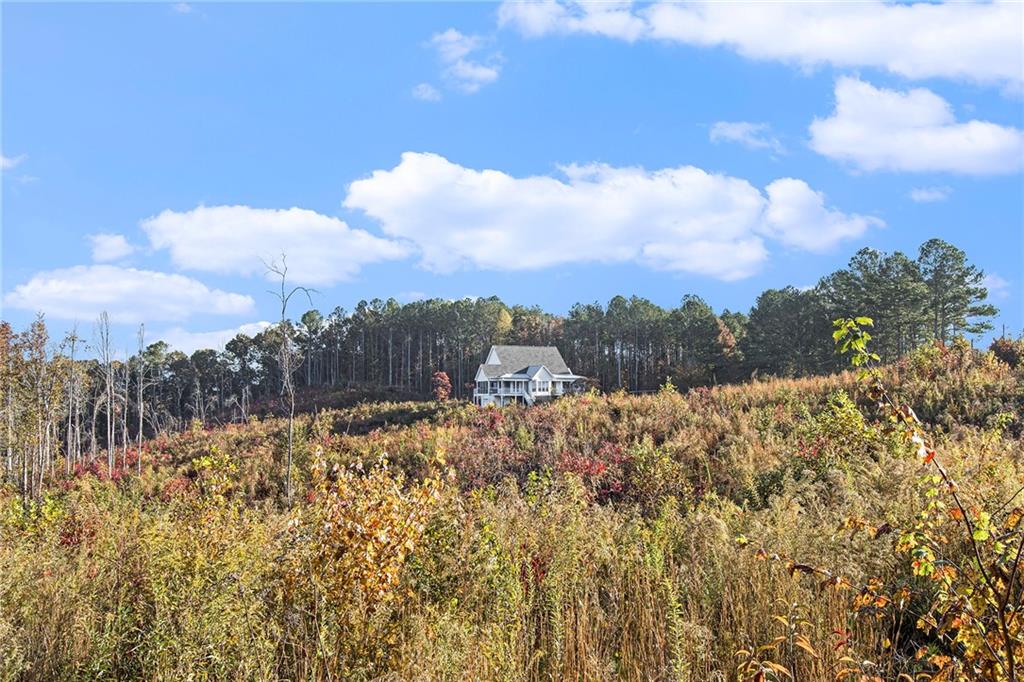 1960 Poplar Springs Road, Buchanan, Georgia image 2