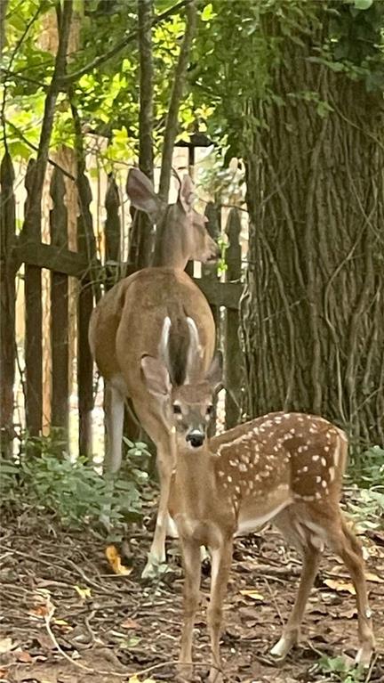 4075 Dream Catcher Drive