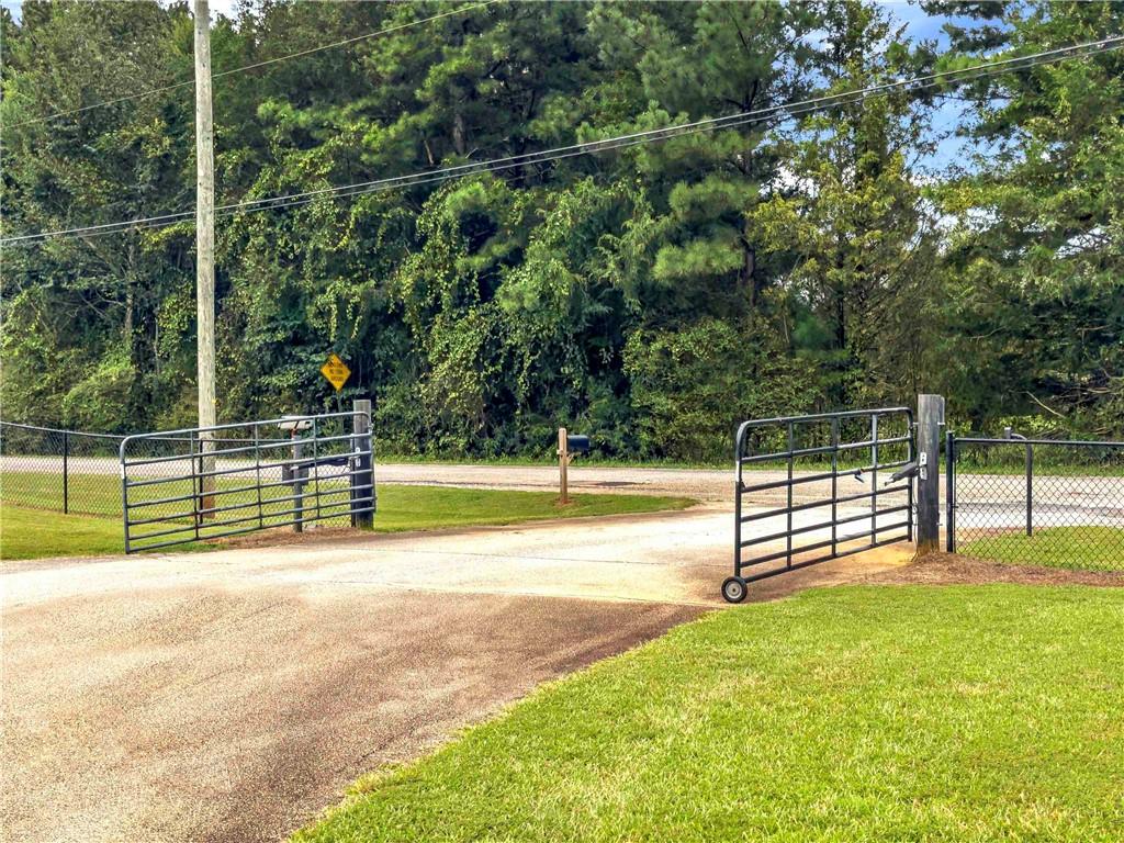 99 Ellis Trail