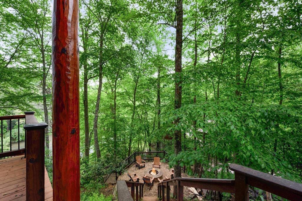 76 Fish Trap Road, Blue Ridge, Georgia image 50