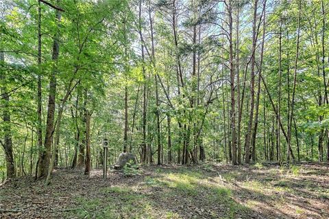 Single Family Residence in Cleveland GA 128 Puddlebee and 95 Puddlebee Road 48.jpg