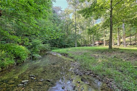 Single Family Residence in Cleveland GA 128 Puddlebee and 95 Puddlebee Road 34.jpg