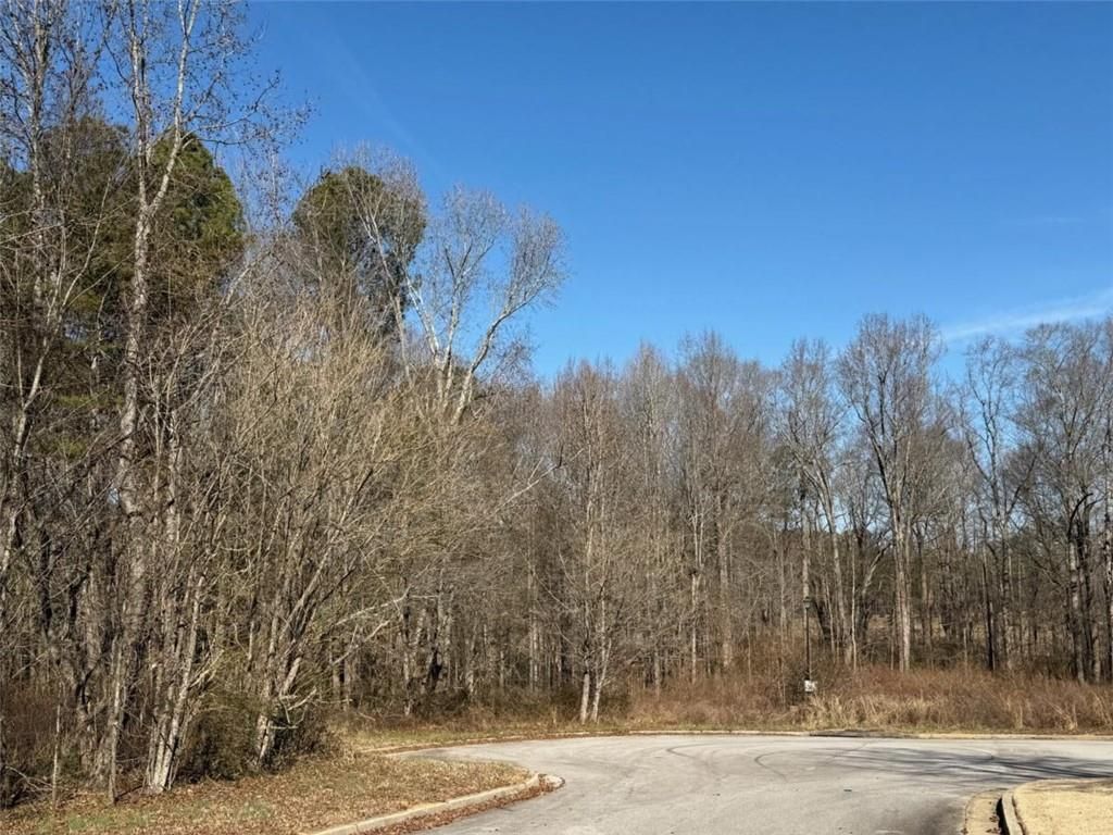 Photo of 611 McDowell Lane, Bethlehem, GA 30620 (MLS # 7727648)