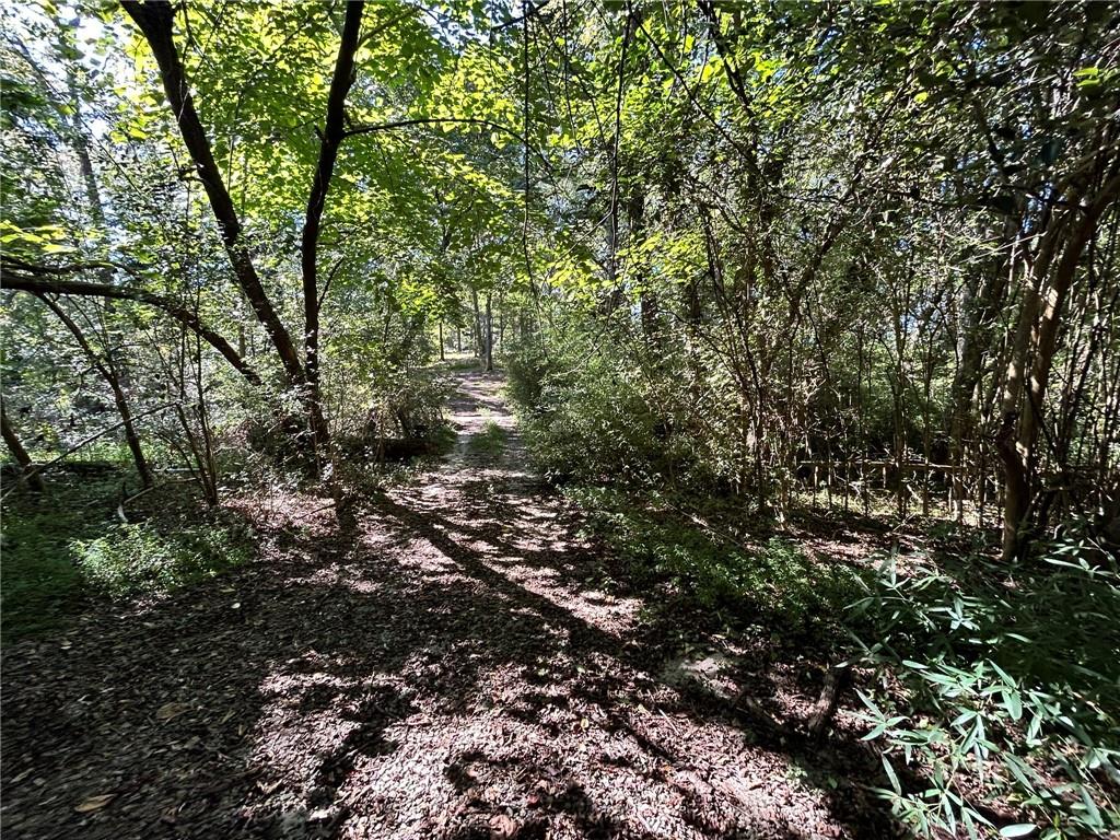 31 Creekwood Road
