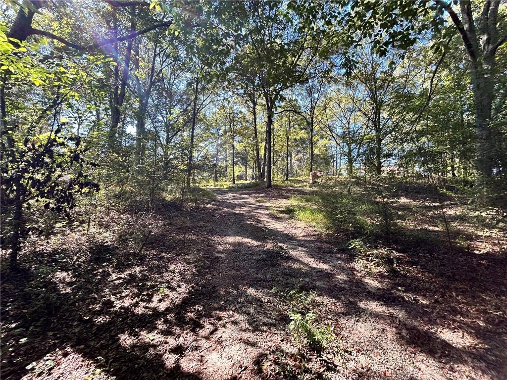 31 Creekwood Road