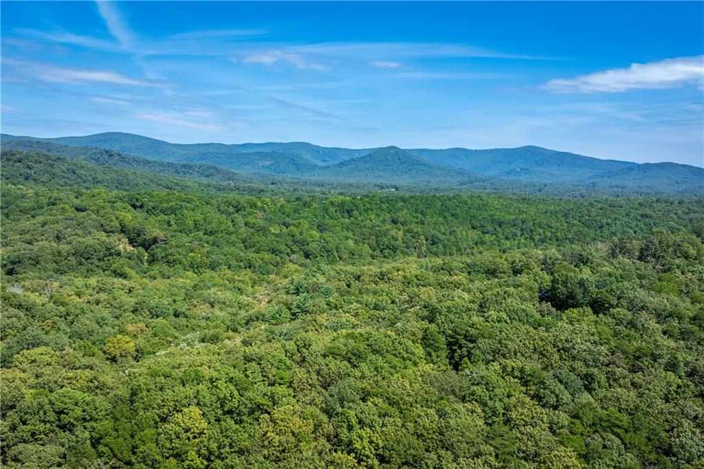 2844 Burnt Mountain Road