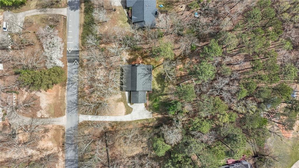 195 Willow Way, Stockbridge, Georgia image 29