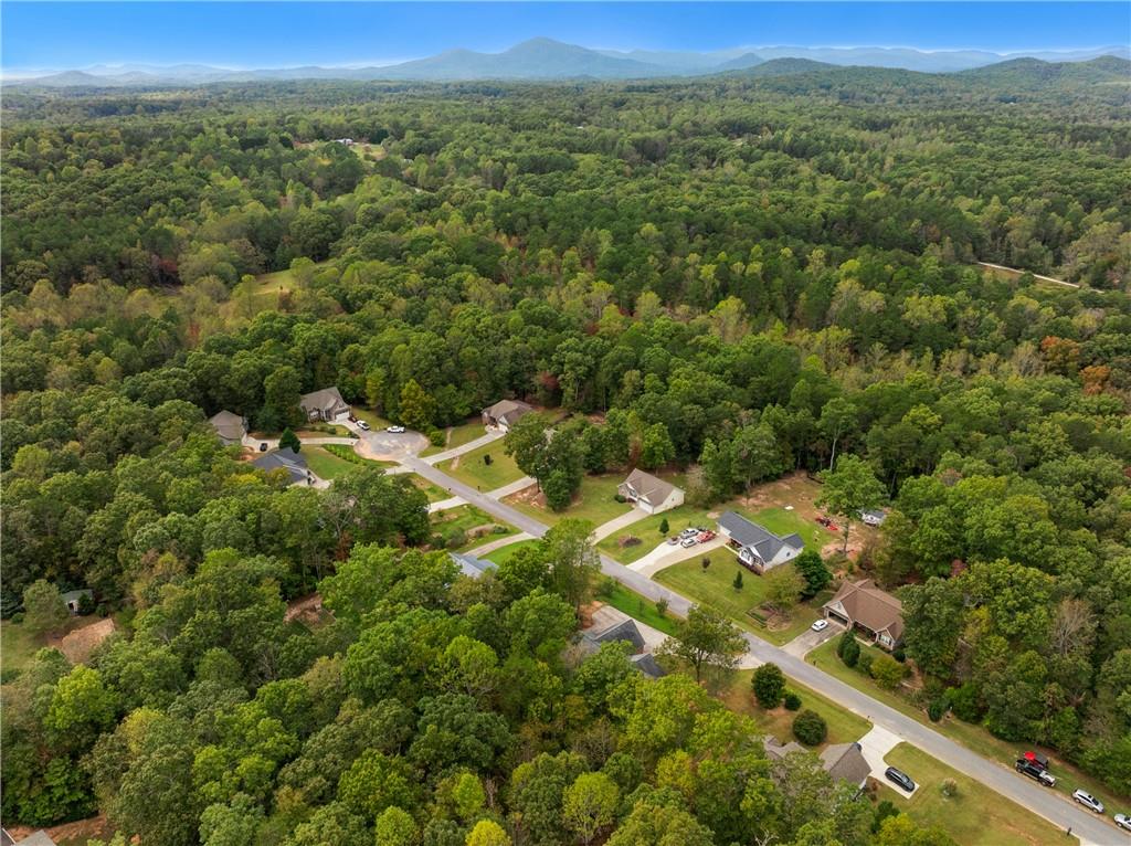 563 Applewood Court, Clarkesville, Georgia image 38