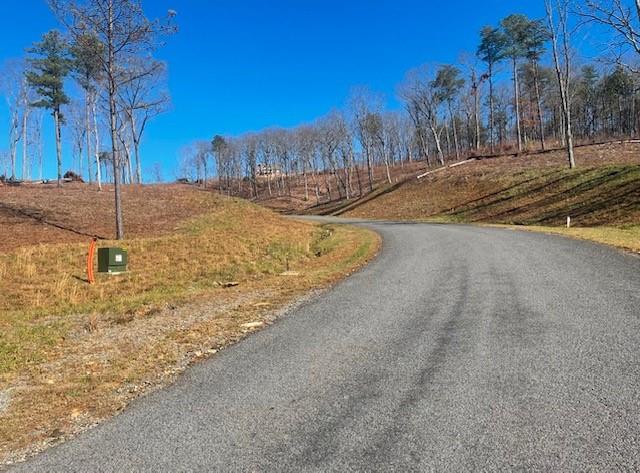 Twisted Oak Road, Talking Rock, Georgia image 12