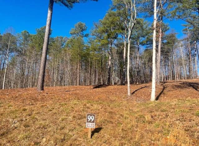 Twisted Oak Road, Talking Rock, Georgia image 7