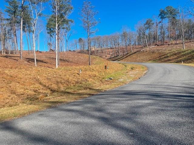 Twisted Oak Road, Talking Rock, Georgia image 9