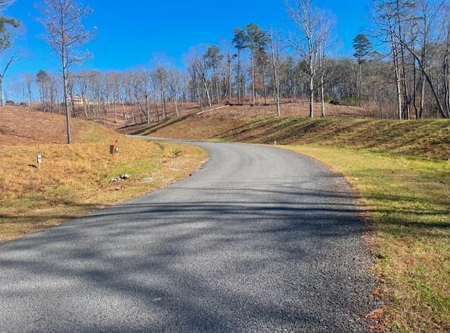 Twisted Oak Road, Talking Rock, Georgia image 10