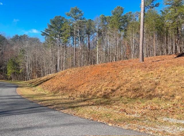 Twisted Oak Road, Talking Rock, Georgia image 8