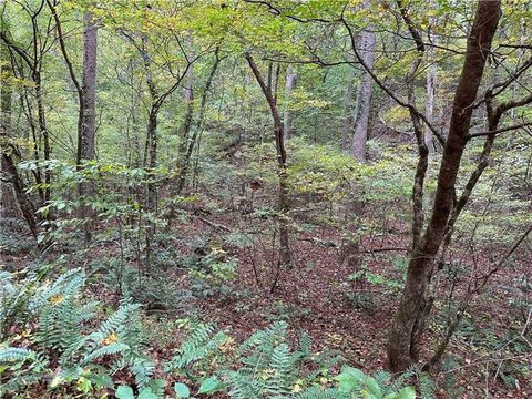 Vacant Land For Sale - 854 Albus Court<br/> Ranger, GA 30734