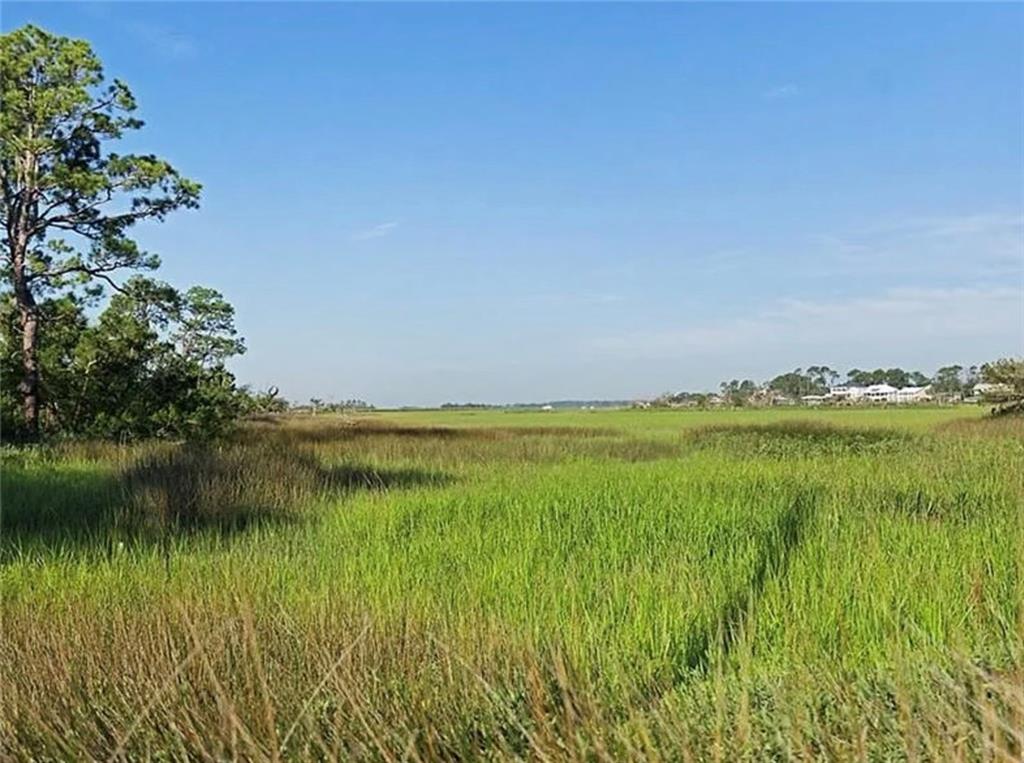 24 Horse Pen Point, Tybee Island, Georgia image 2