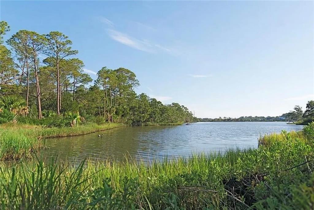 24 Horse Pen Point, Tybee Island, Georgia image 1