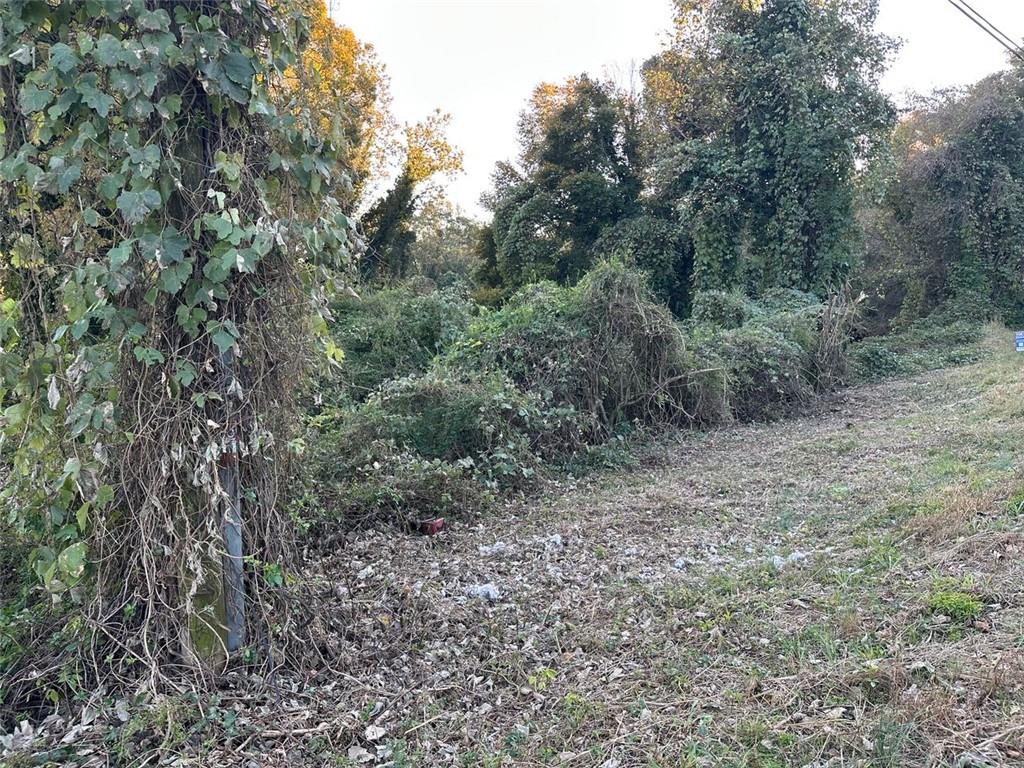 2046 Old Cornelia Highway