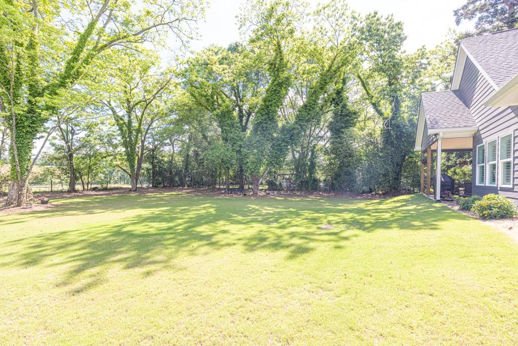 399 Chestnut Street, Social Circle, Georgia image 43