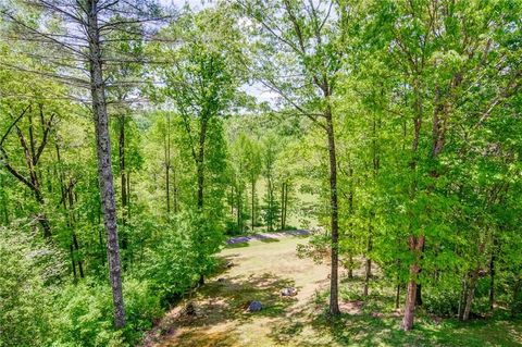 A home in Ellijay