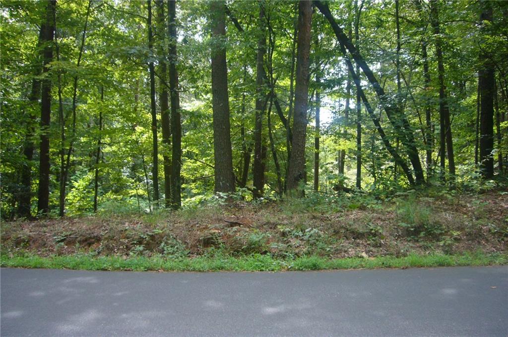 Private, wooded tract in a beautiful mountain setting, conveniently located near Helen & Unicoi State Park, Rivers, Hiking Trails, Waterfalls, Camping & Lakes.