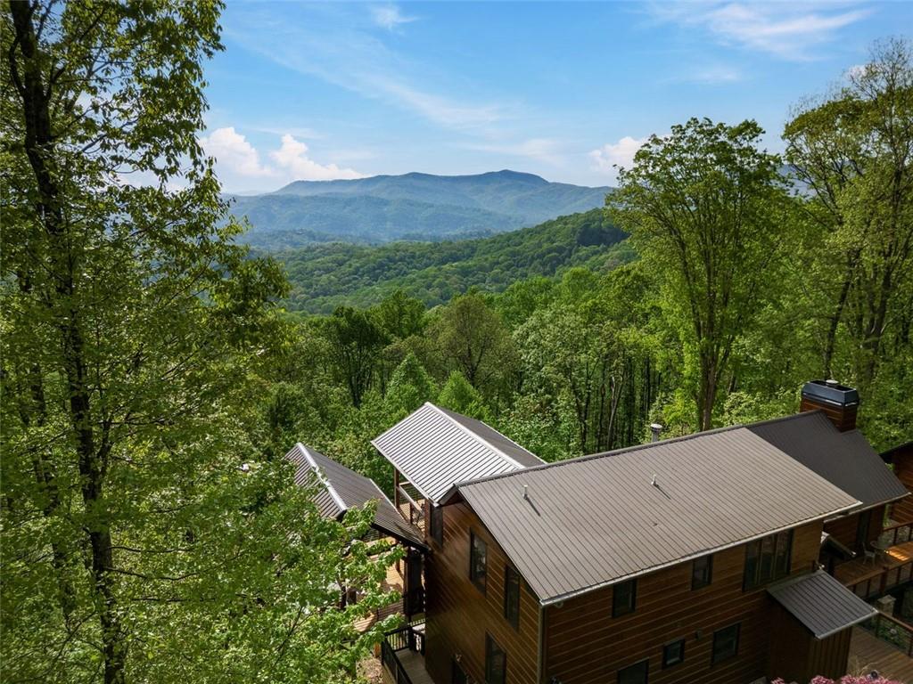 851 N Moreland Drive, Blue Ridge, Georgia image 10