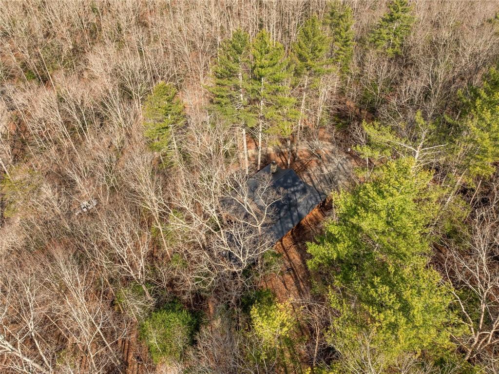 494 Weeks Creek Road, Blue Ridge, Georgia image 42
