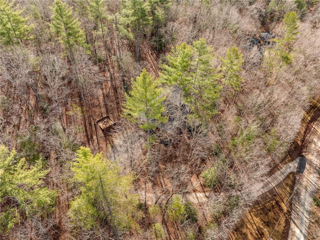 494 Weeks Creek Road, Blue Ridge, Georgia image 41