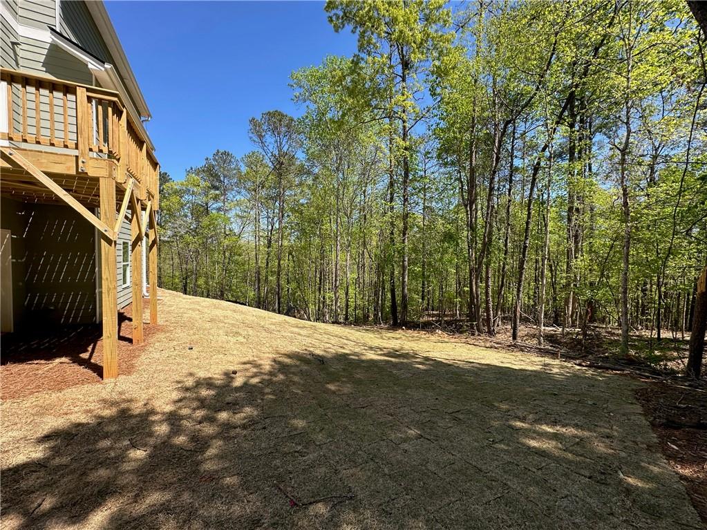 66 Pine Creek Court, Dallas, Georgia image 4