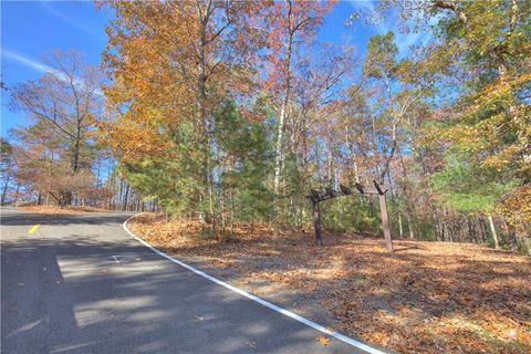 817 Choctaw Pass Big Canoe GA 30143