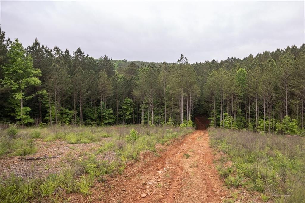 00 Hidden Creek Road