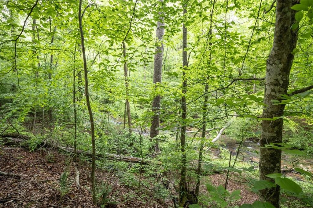 00 Hidden Creek Road