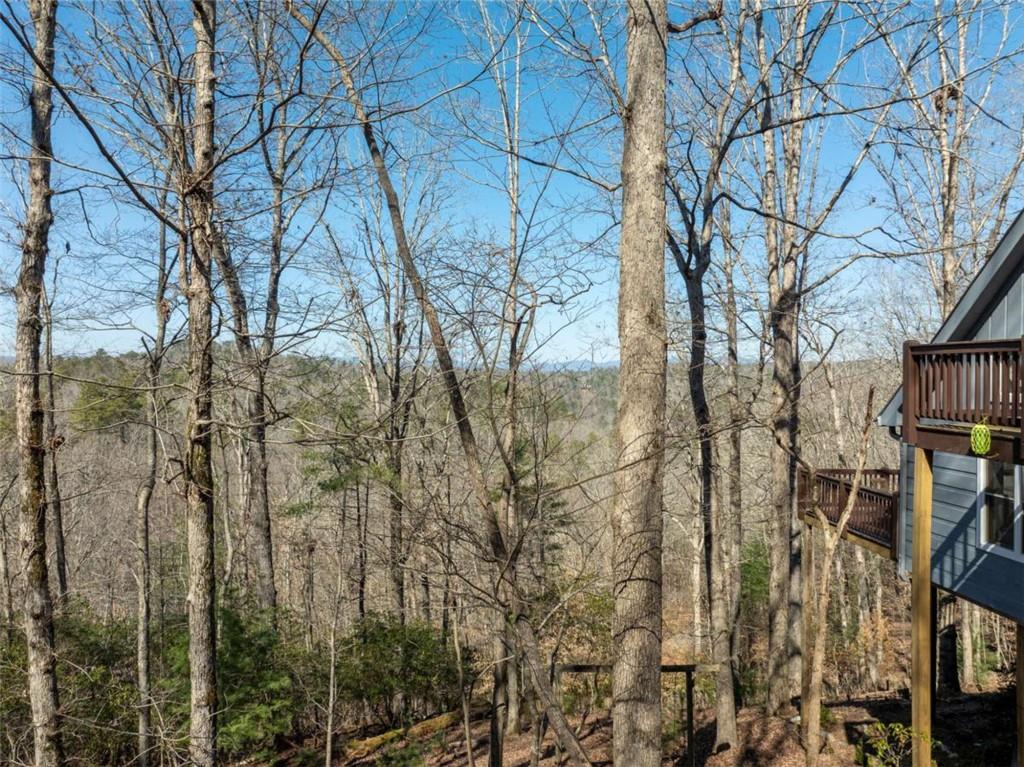 193 Alm Lane, Ellijay, Georgia image 14