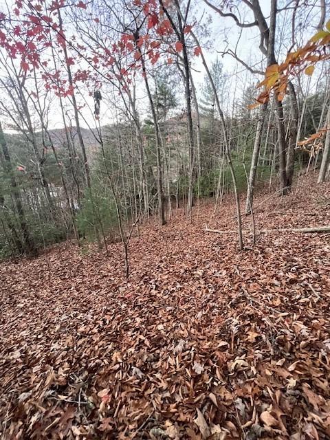 3 A Moss Cove Road, Blairsville, Georgia image 3