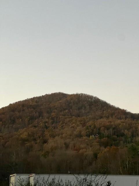 3 A Moss Cove Road, Blairsville, Georgia image 6