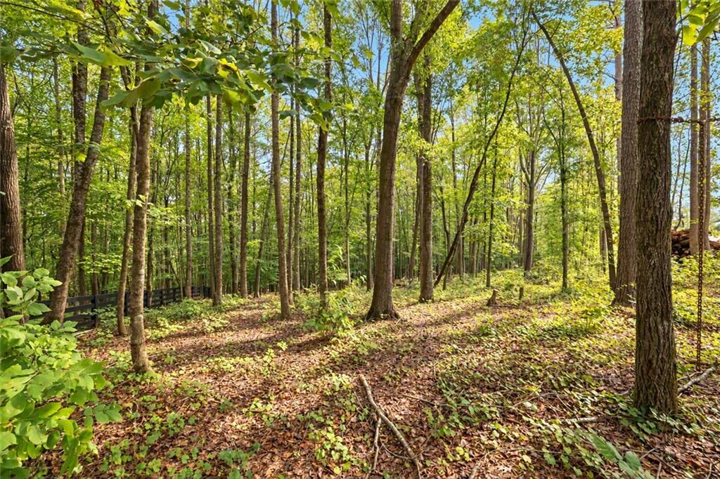 421 River Bluff Lane