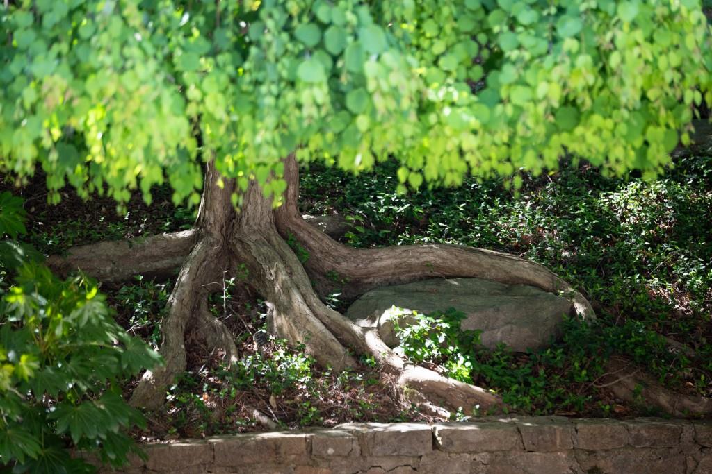 Sandy Springs - Residential