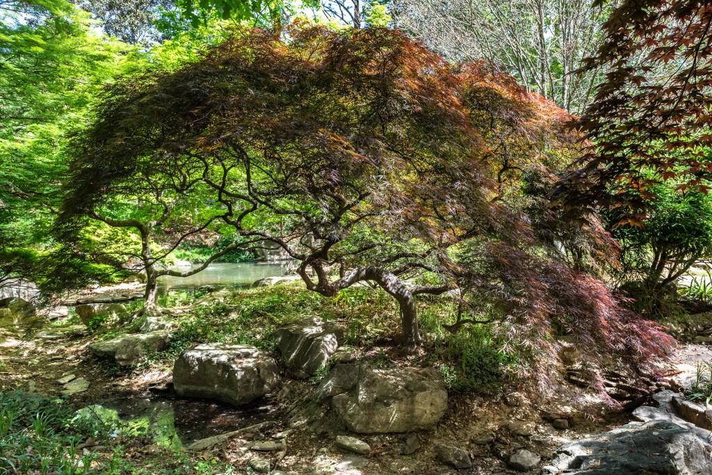 Sandy Springs - Residential