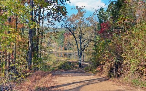 A home in Ellijay