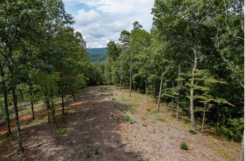 LOT 31 Pebble Trace Talking Rock GA 30175