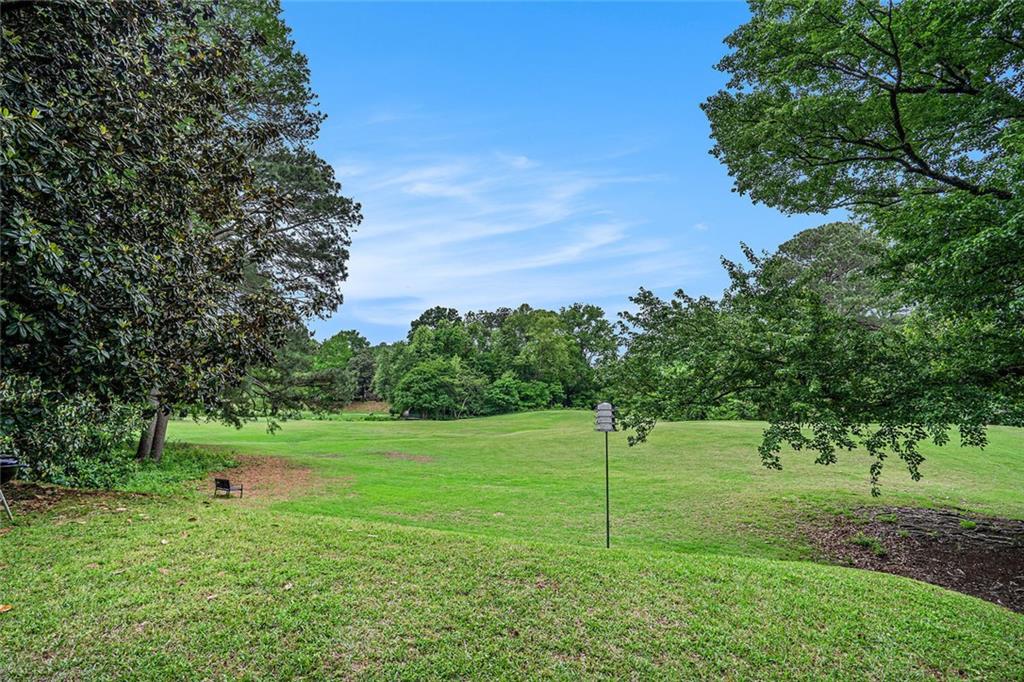170 Elysian Way, Atlanta, Georgia image 28