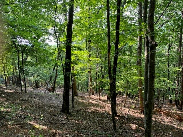 6057 Crested Iris Circle