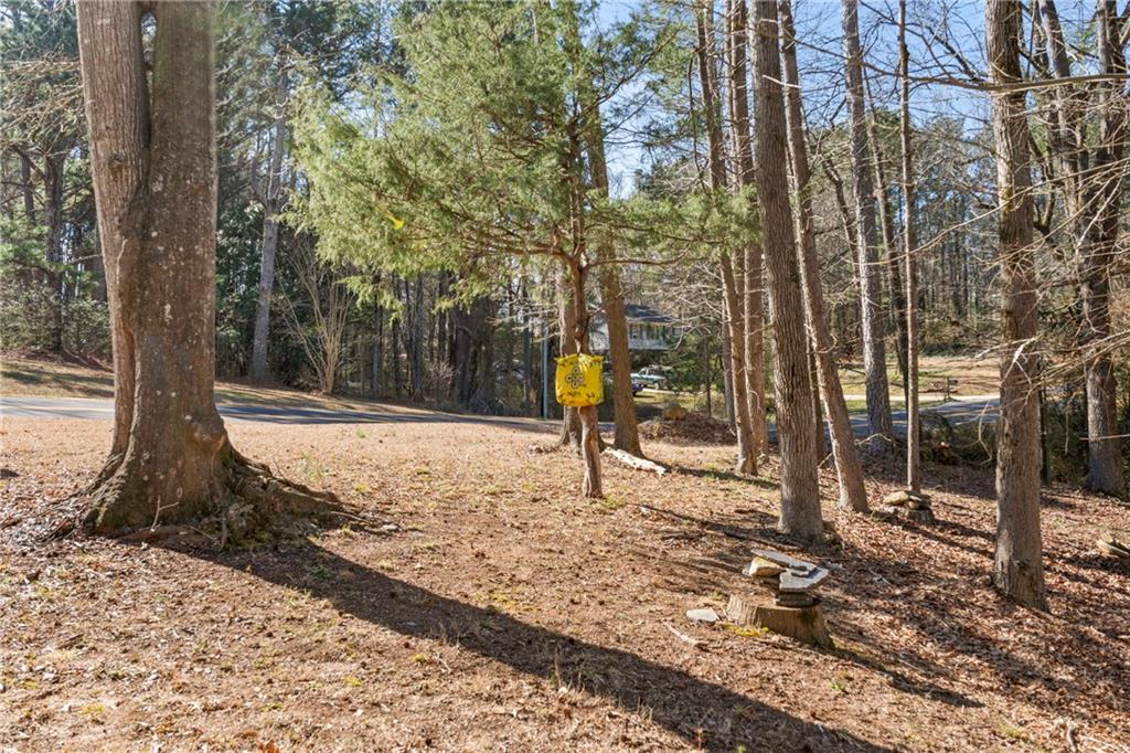 209 Beech Creek Circle, Winder, Georgia image 8