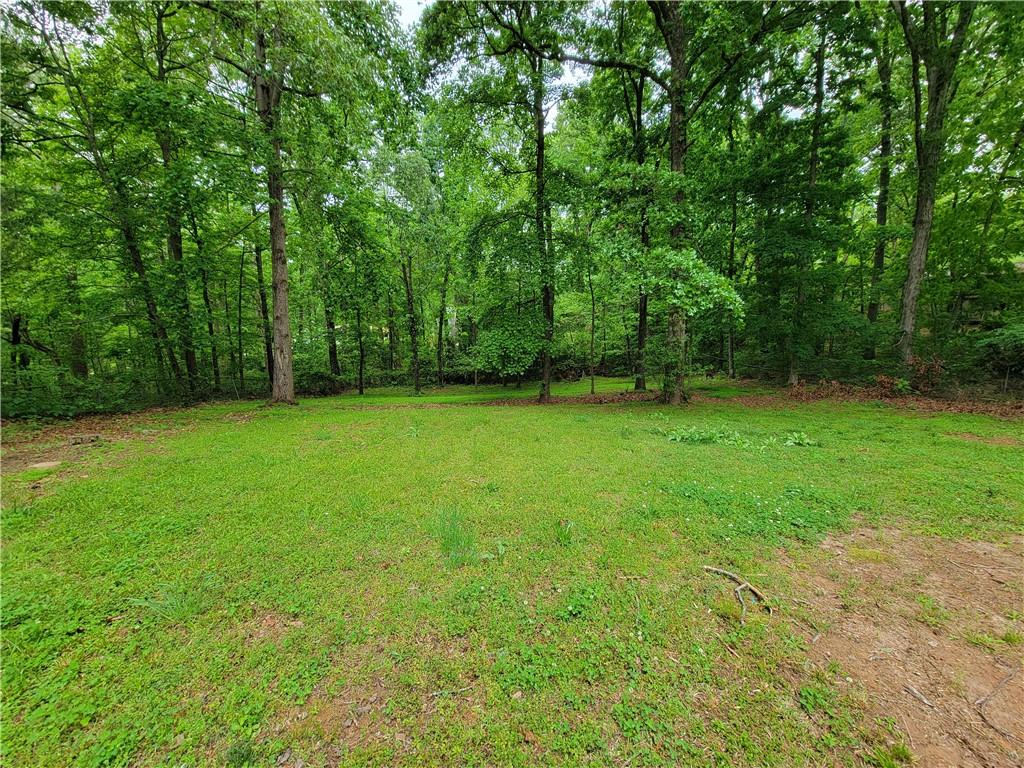 4063 Feather Drive, Douglasville, Georgia image 22