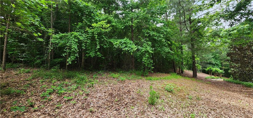 126 Big Cotton Trail, Mcdonough, Georgia image 7
